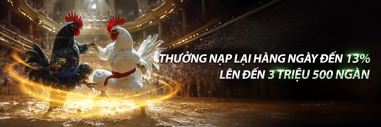 Đá gà KL99 trực tuyến
